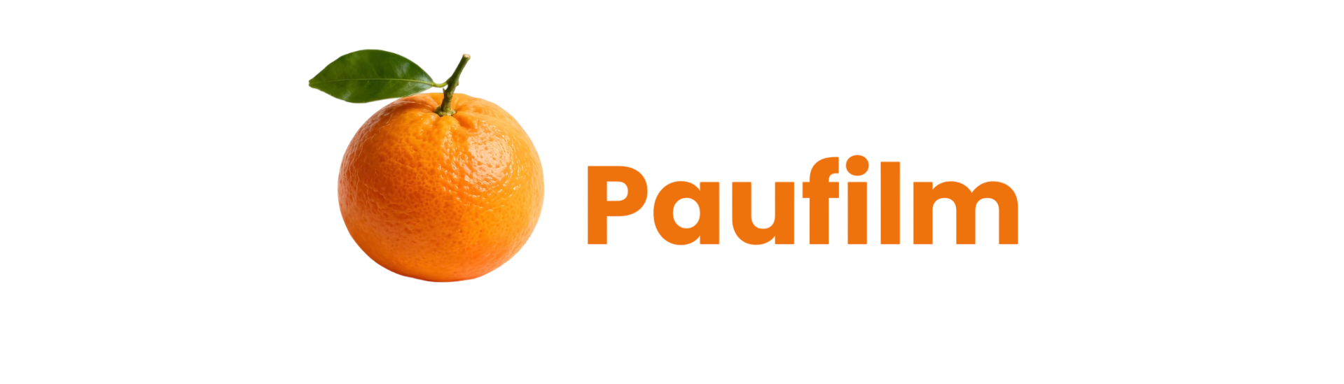 Portafolio Pau